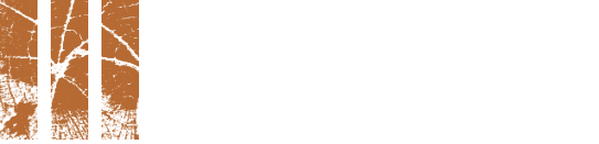 Installation de terrasse en bois en île de france